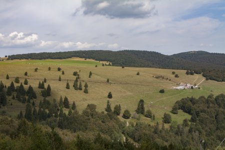 Mooie glooiende en groene hellingen